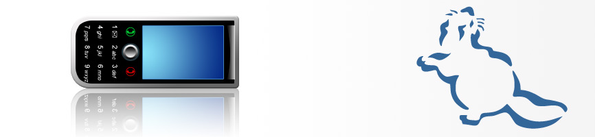 Contact Beaver Access